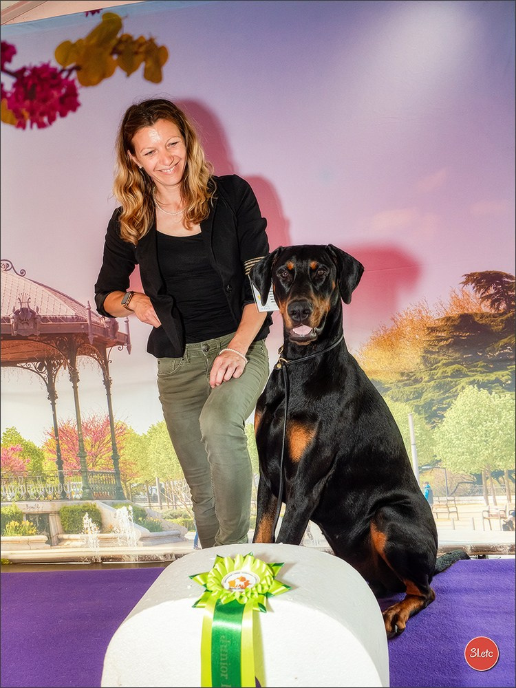 Photographie animalière. Photographe à Strasbourg | Portraits, Studio, Enfants, Événements