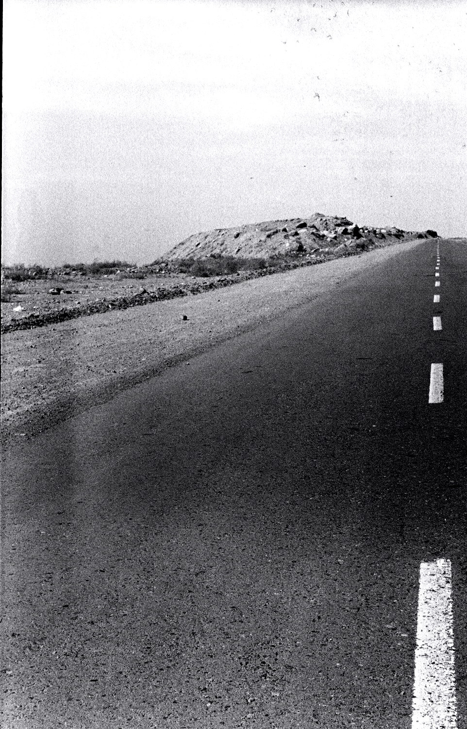 Personal Photography. Arman Milani, Brand-Focused Video Production & Content Creation, Based in Berlin