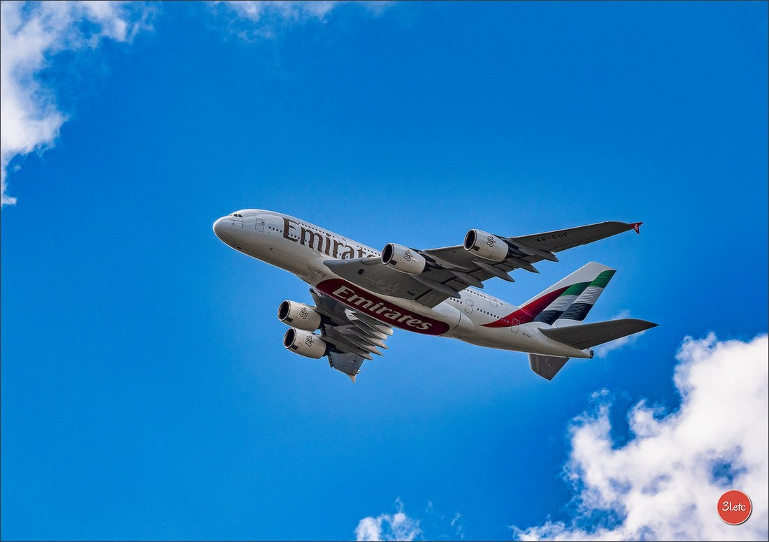 Dog Show Hallbergmoos  🇩🇪  11-13/07/2025. Photographe à Strasbourg | Portraits, Studio, Enfants, Événements