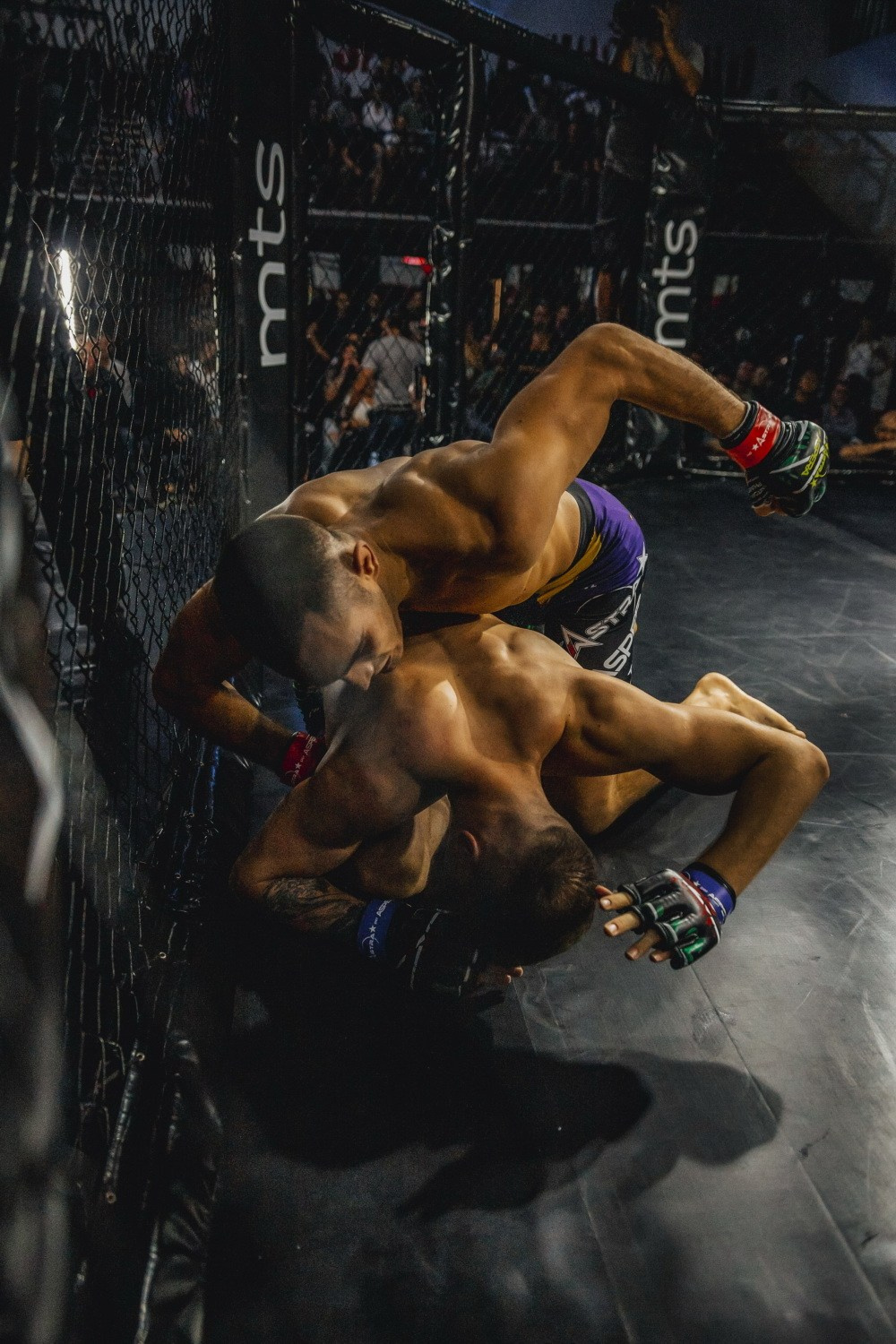 SPORT. Fotografi iz Backog Petrovca David i Andrea Stojanovic