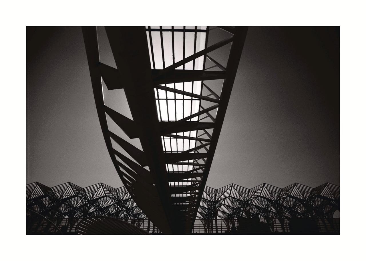 GROWTH. Grigoriy Yaroshenko photography | Фотограф Григорий Ярошенко