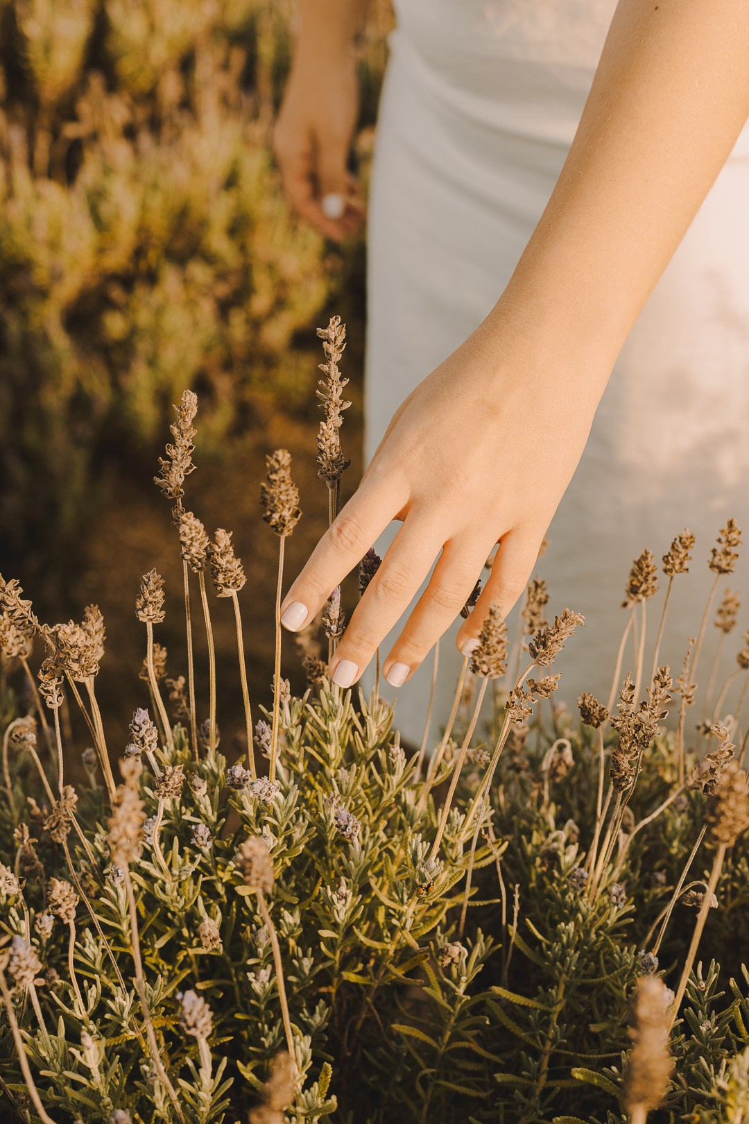 Ensaio Pré-Wedding em Holambra/SP