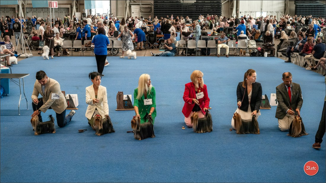 Photographie animalière. Photographe à Strasbourg | Portraits, Studio, Enfants, Événements