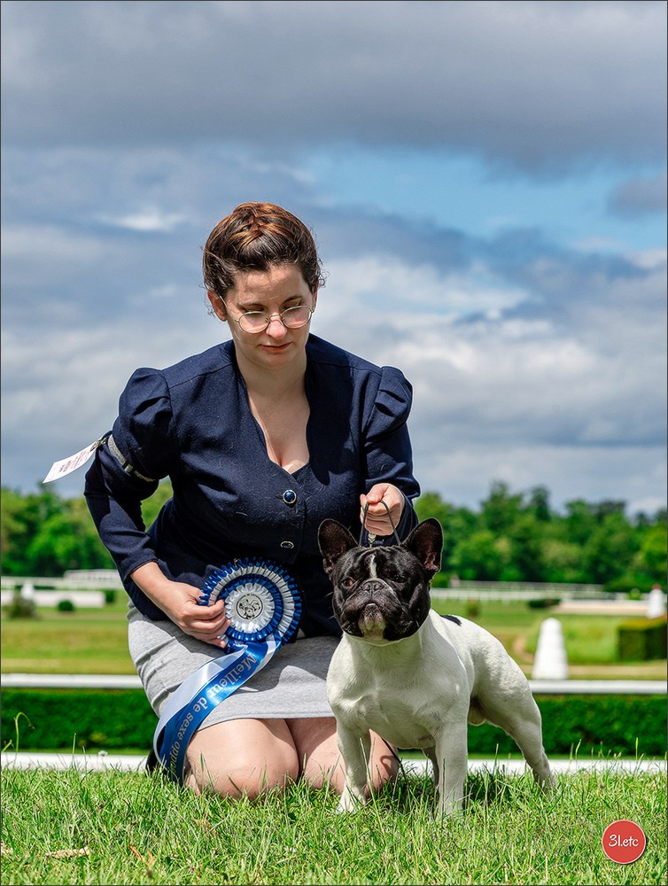 Expo canine Nancy  🇫🇷  25/05/2025. Photographe à Strasbourg | Portraits, Studio, Enfants, Événements
