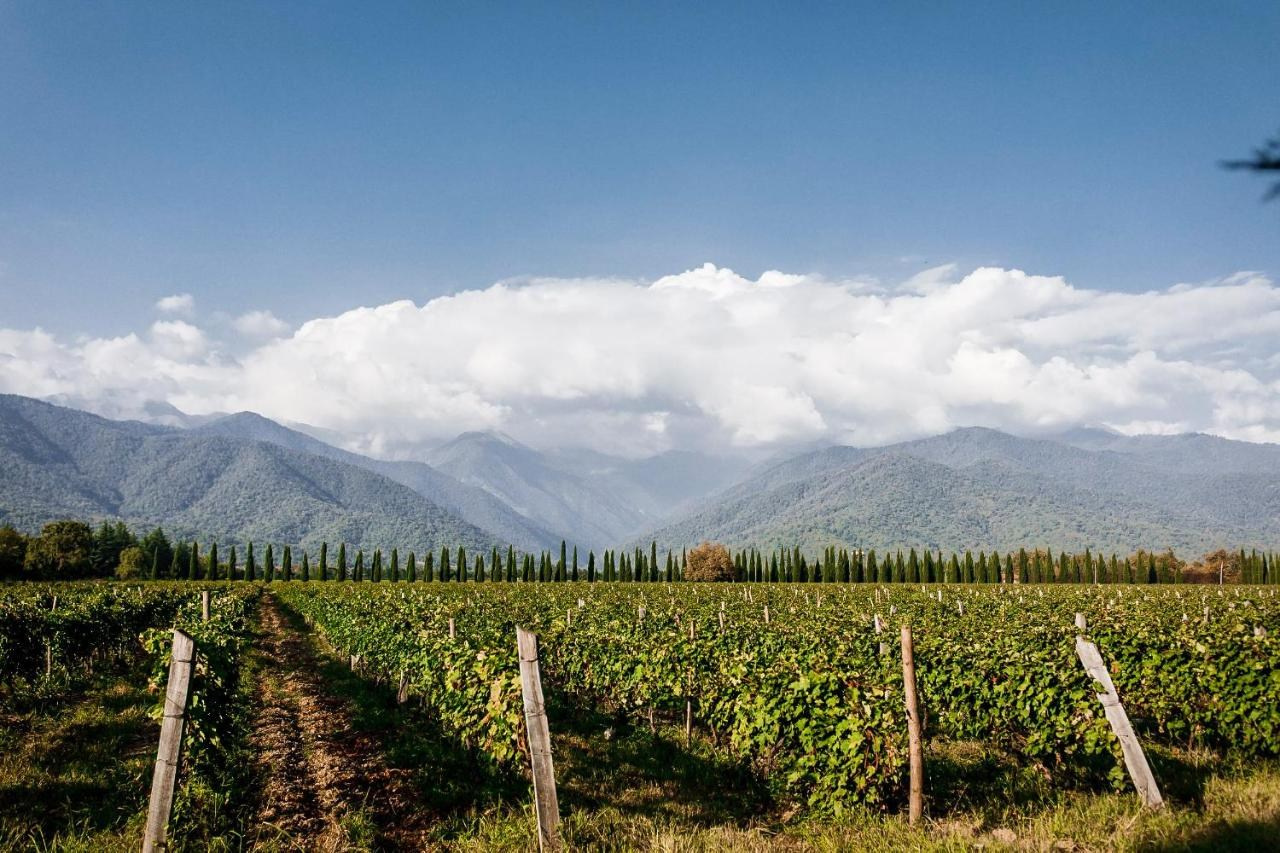 Chateau Artwine. Главная