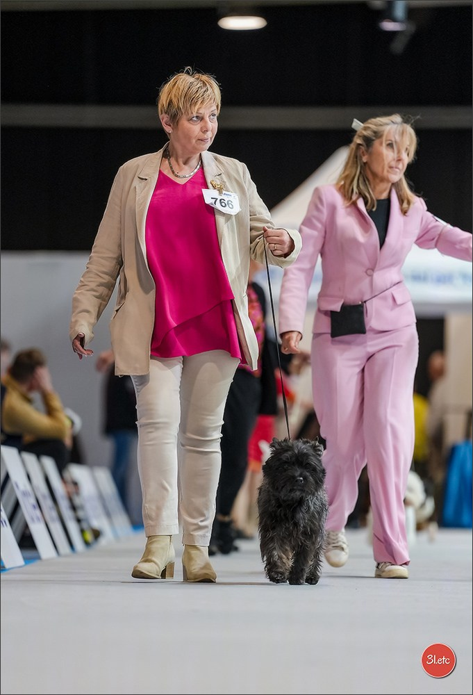 🇱🇺 LUXEMBOURG 🇱🇺 International Dog Show 4-5/04/2026. Photographe à Strasbourg | Portraits, Studio, Enfants, Événements
