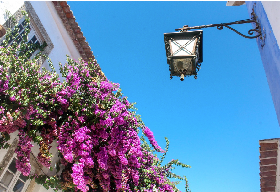 Назаре — Обидуш — самые высокие волны в мире ‬‭и‬‭ очарование‬‭ средневекового города-крепости. Экскурсии по Португалии с гидом-фотографом на автомобиле и пешком