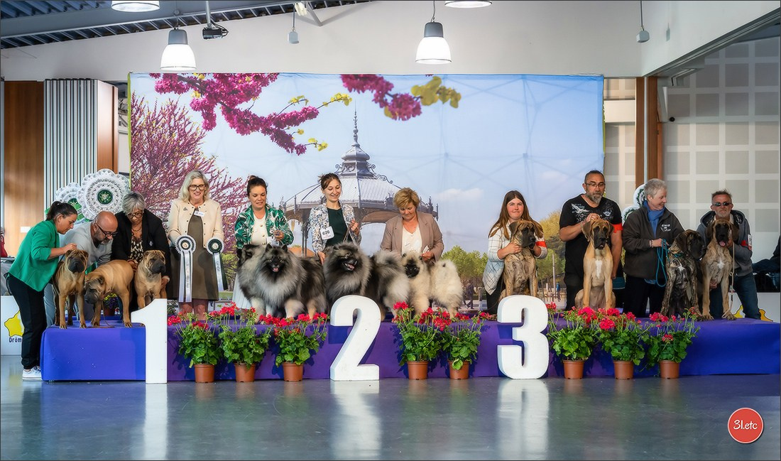 Expo canine 🇫🇷 Valence 02-03/05/2026