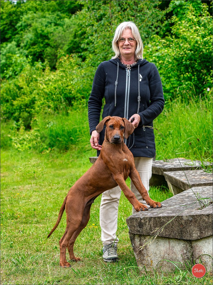 R.E. Rhodesian Ridgeback - Belleau (54) Expo canine Nancy  🇫🇷  24/05/2025. Photographe à Strasbourg | Portraits, Studio, Enfants, Événements