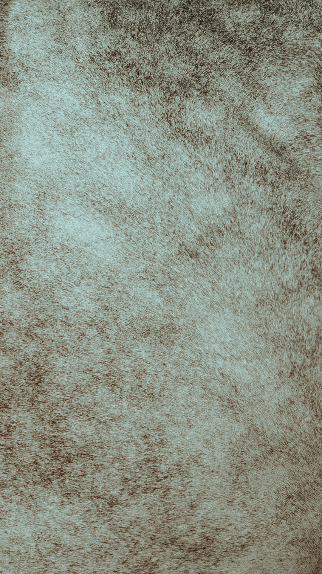 Doha Tour 2024 🐎. Regina Turbin — official website