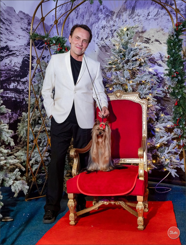 13-14.12.2025   🇧🇪   Brussels Dog Show. Photographe à Strasbourg | Portraits, Studio, Enfants, Événements