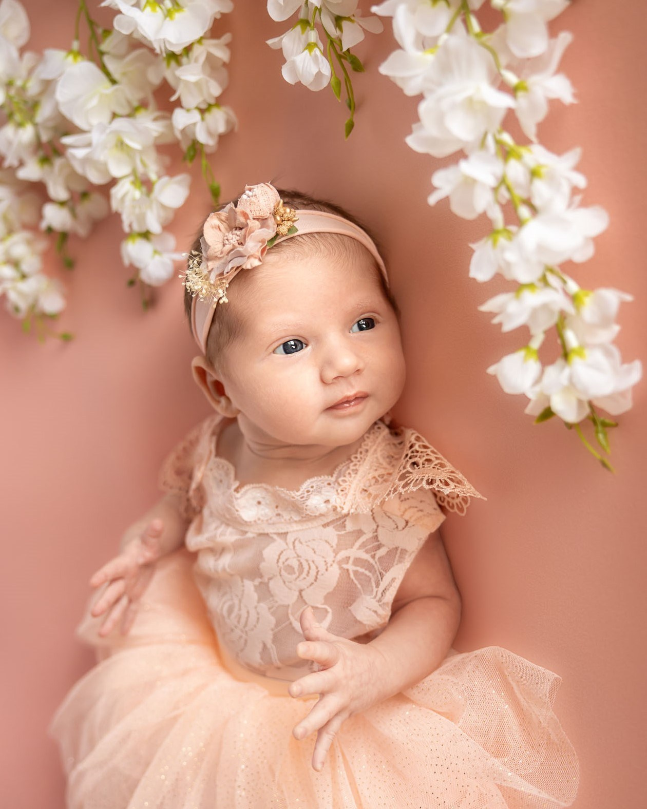 Newborn photos. Newborn photographer in Tampa Bay Area, FL