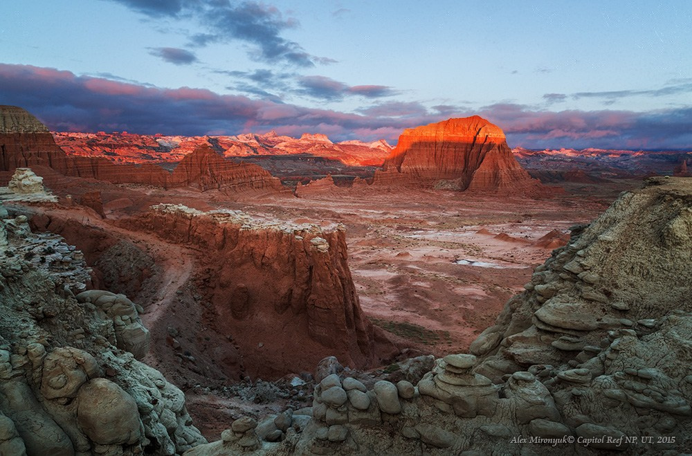 Eagle’s View: The American Southwest. Pet, Senior, Landscape, portrait studio, photographer in Miami and Sou