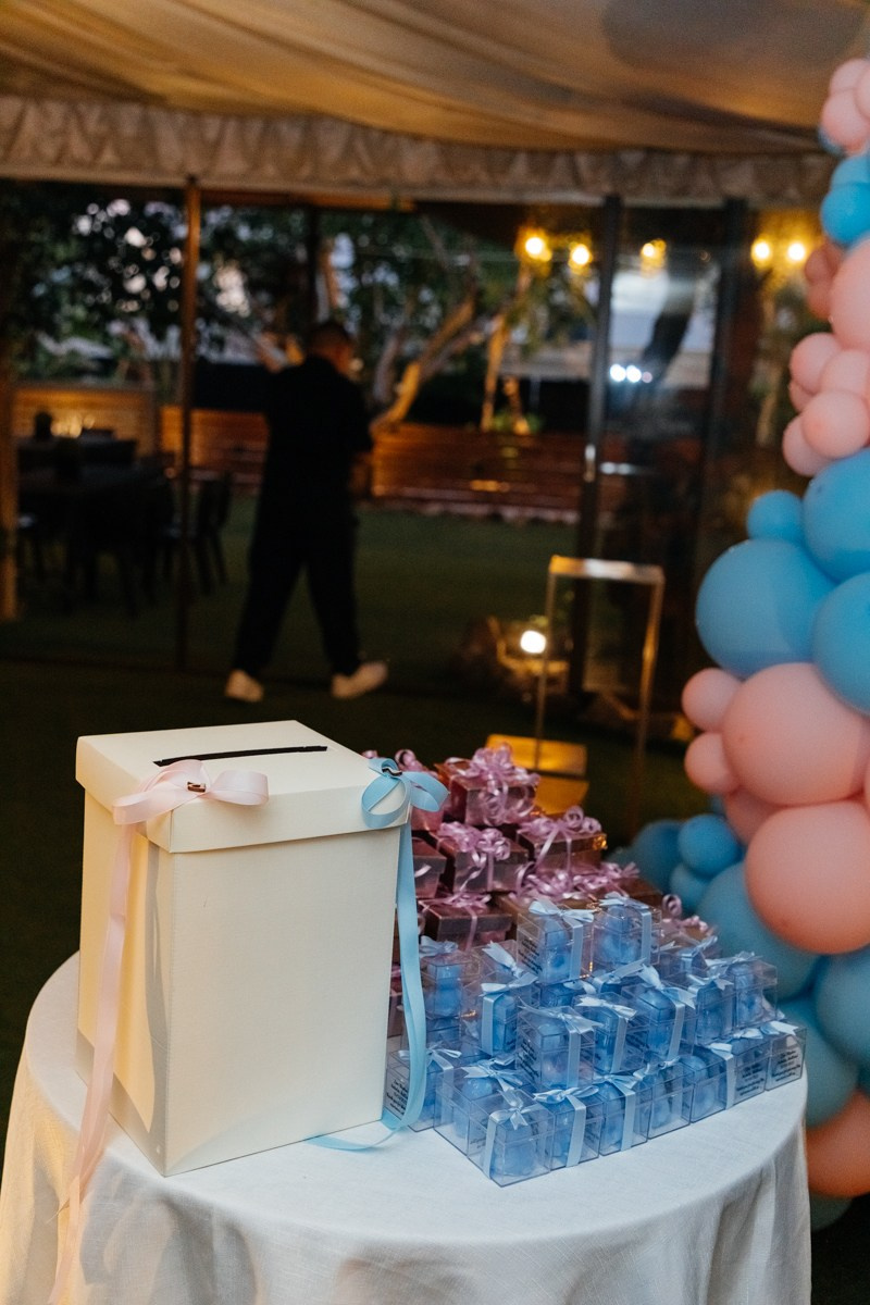 Double Christening of R & Z. Destination wedding photographer in Netherlands, Germany, Italy, Greece & Europe-Tina Yalova