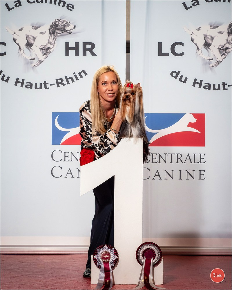 Expositions canines des 6 & 7 avril 2024 NDS Mulhouse, France. Photographe à Strasbourg | Portraits, Studio, Enfants, Événements