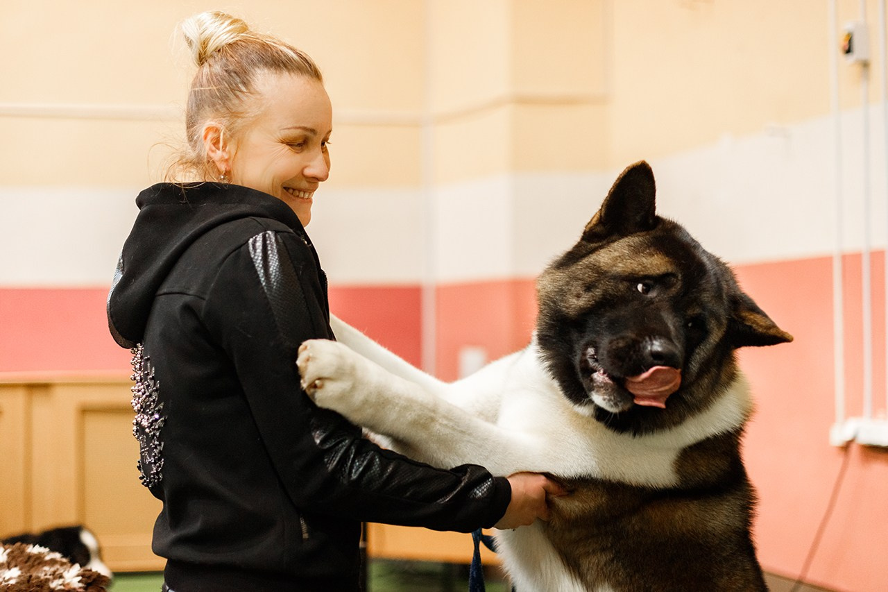 Grodno dog show. Kaja | fotograf we Wrocławiu | ludzie i psy