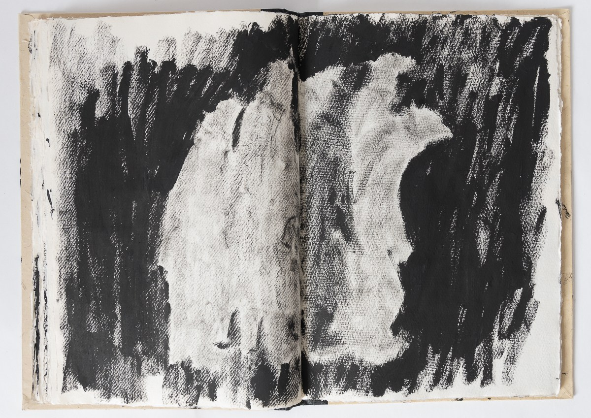 Rebelion, 2018. Haim Sokol’s artists website