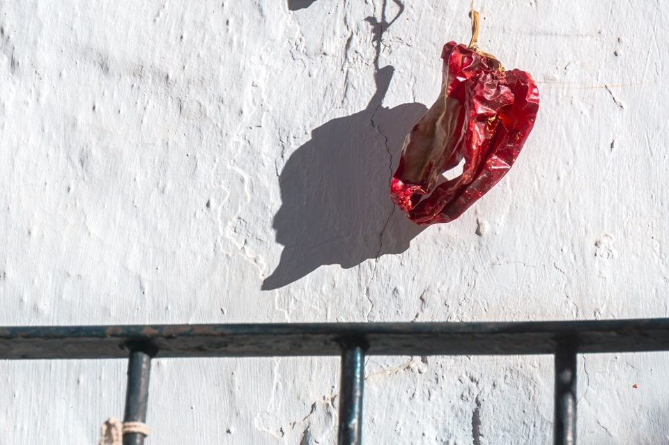 Bocetos. Alba del Norte Studio