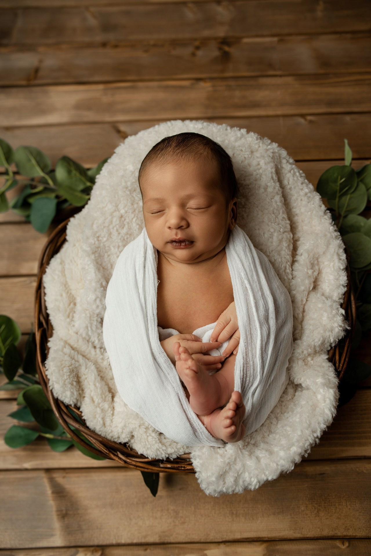 Feedback. Photographer in Paris