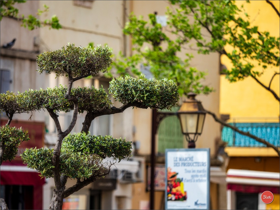 Martigues 19-20/04/2025. Photographe à Strasbourg | Portraits, Studio, Enfants, Événements