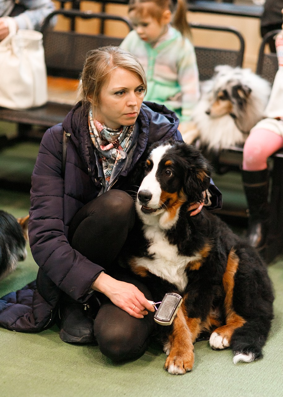 Grodno dog show. Kaja | fotograf we Wrocławiu | ludzie i psy