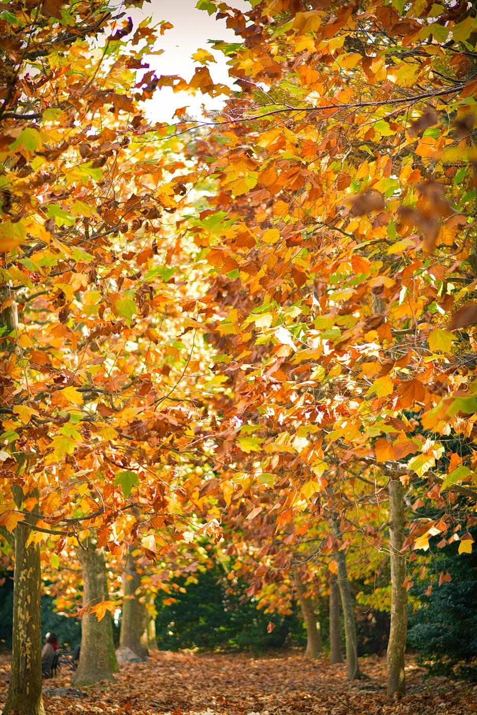 Work for Kimono i-magazine. Photographer in Tokyo, Japan