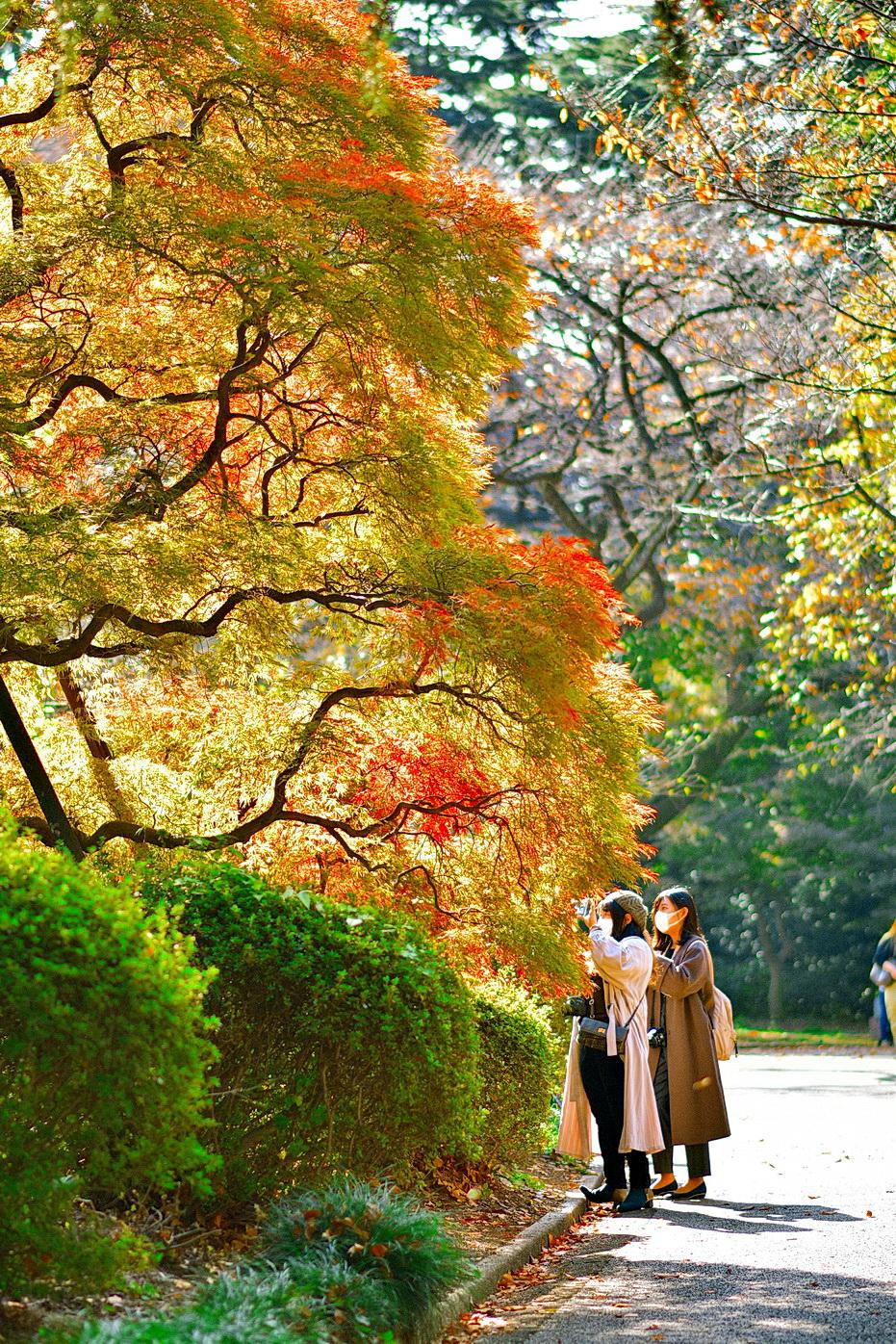 Work for Kimono i-magazine. Photographer in Tokyo, Japan