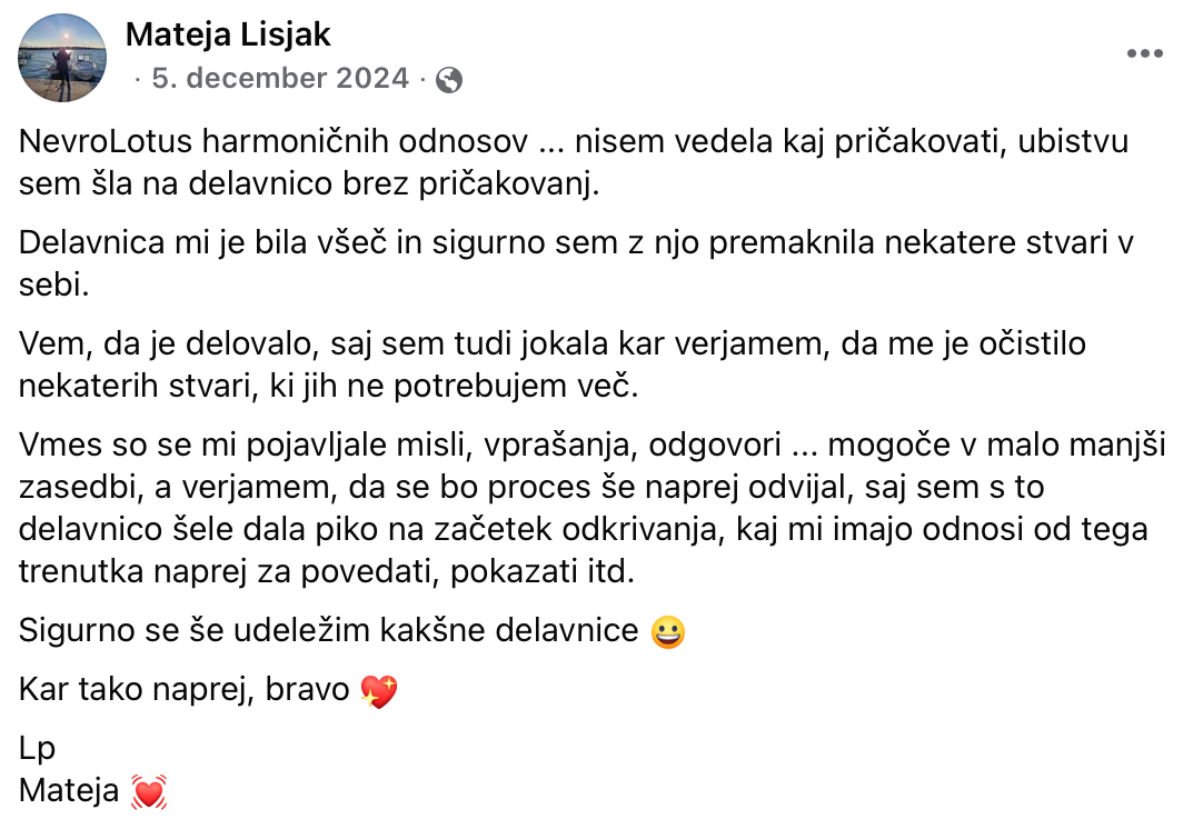 Nevrografika. Numerologija. Nevrografika. Delavnice
