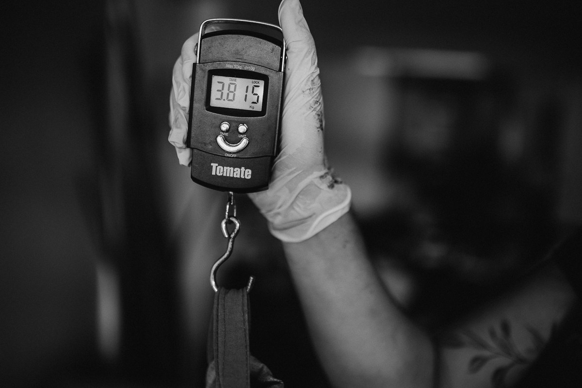 David’s Home Birth. Fotografa de família e crianças em Florianópolis SC Daria Ermolaev