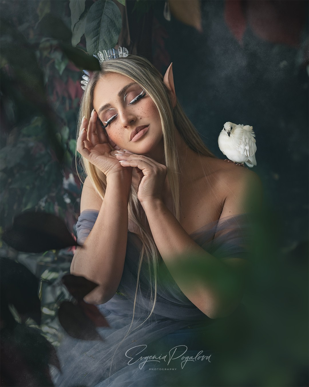 EVGENIA POGALOVA PHOTOGRAPHER