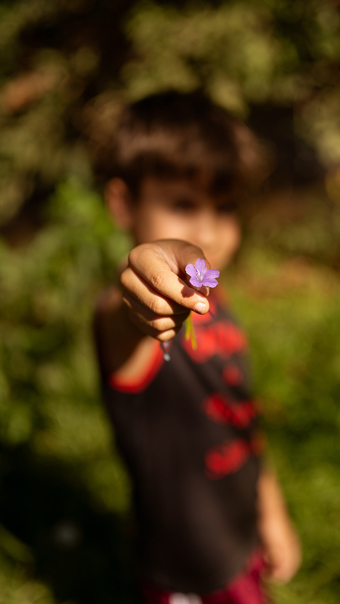 Aleatório. Ryan Farias — Fotógrafo