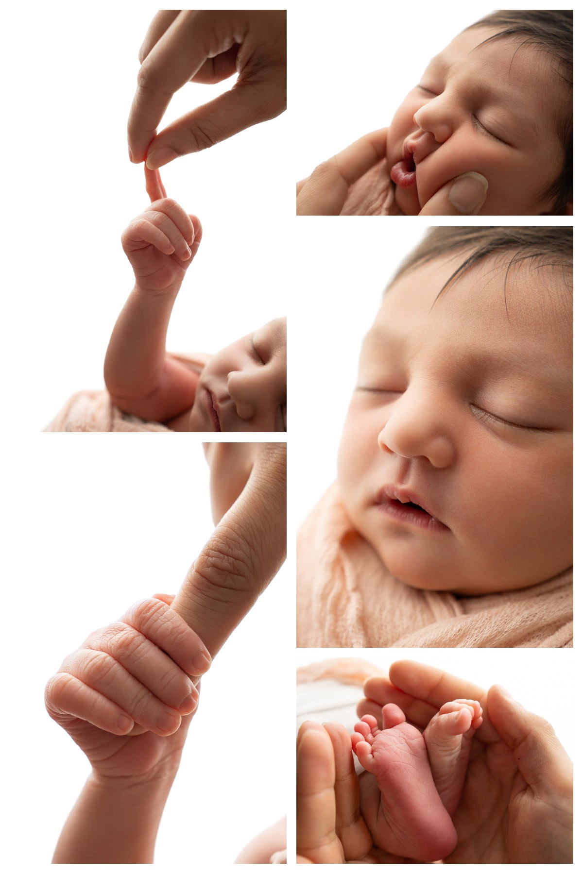 Newborn+Family. Maternity, family and newborn photography in San Francisco Bay Area