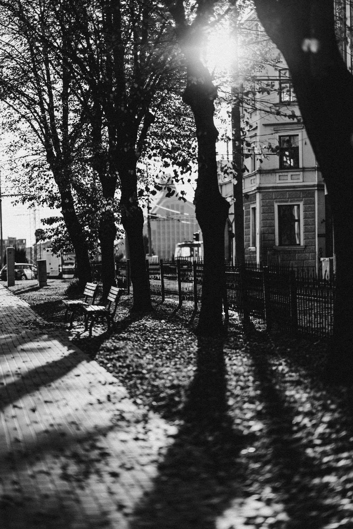 Location fashion. Professional Photography, Videography, and Drone Services in Ireland