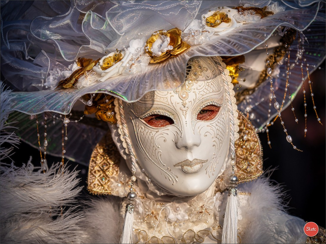 Carnaval vénitien de Rosheim 2026. Photographe à Strasbourg | Portraits, Studio, Enfants, Événements