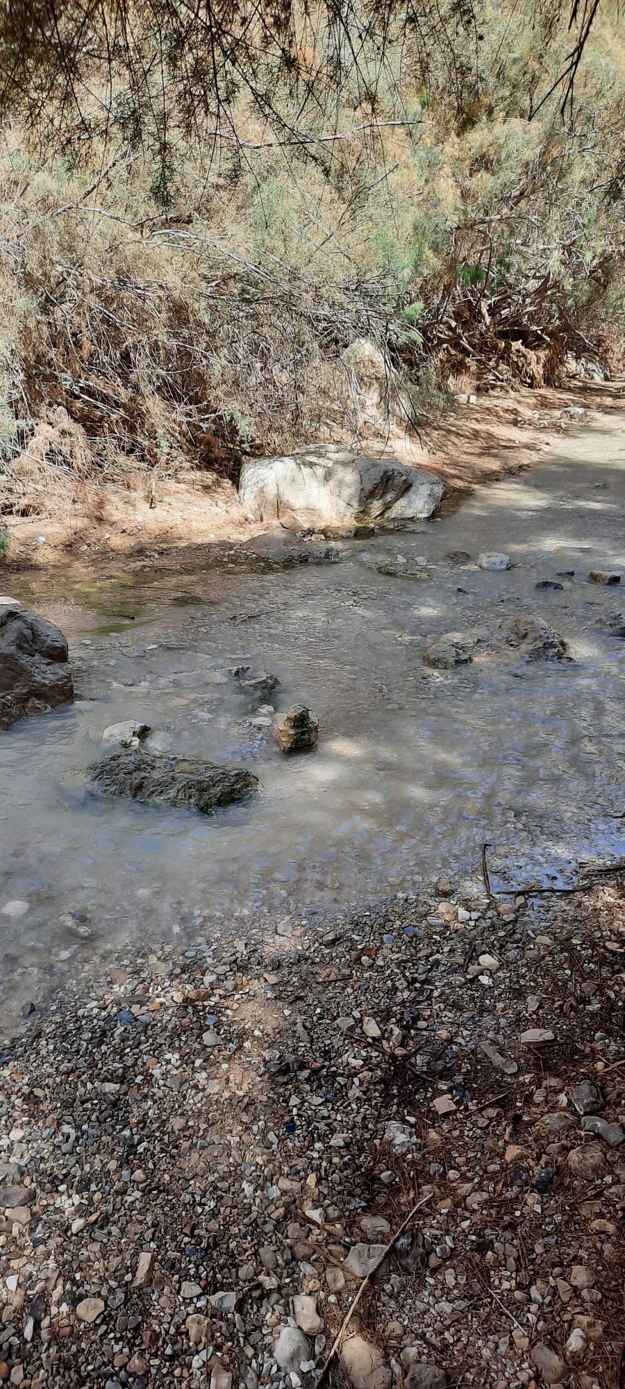 Женский поход 2024 — клуб «Нортман». КРиС «Нортман»