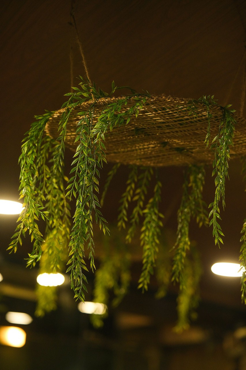Rays. Daniel Brand | Fotografía de Bodas y Comercial en Honduras