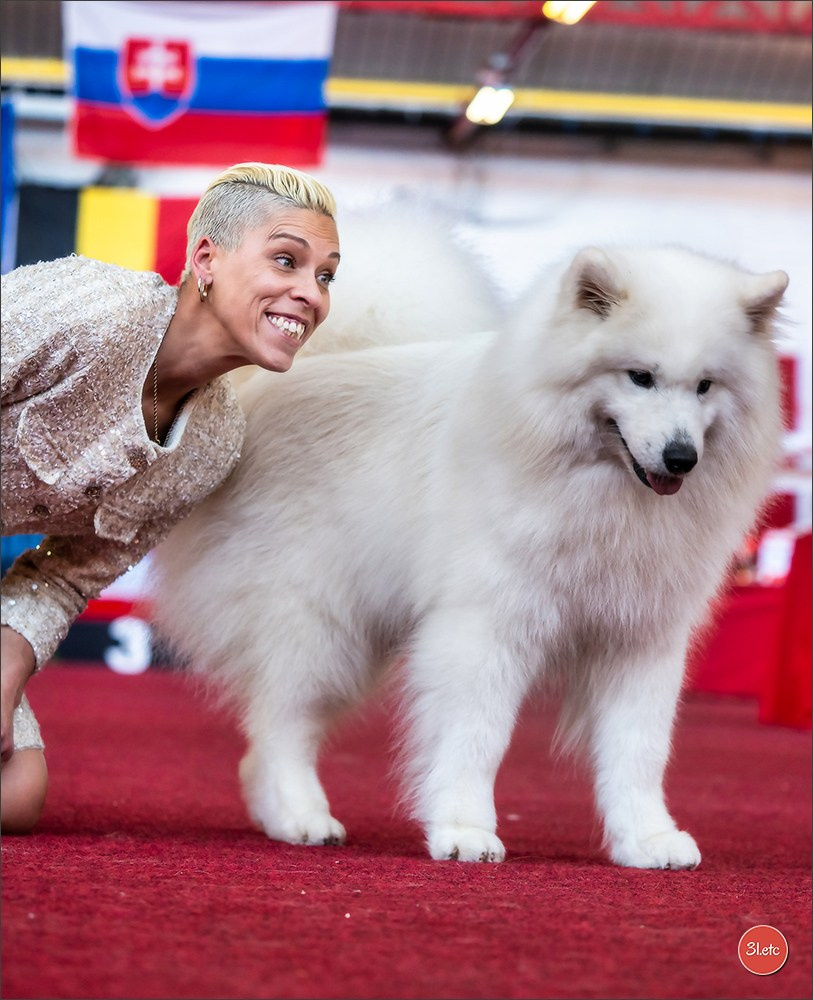 À l'exposition de Mouscron 🇧🇪 #dogshow #dogsphotography #expocanine #photopets #pets #dogs #aminalier #animals #mouscron #mouscron2025. Photographe à Strasbourg | Portraits, Studio, Enfants, Événements