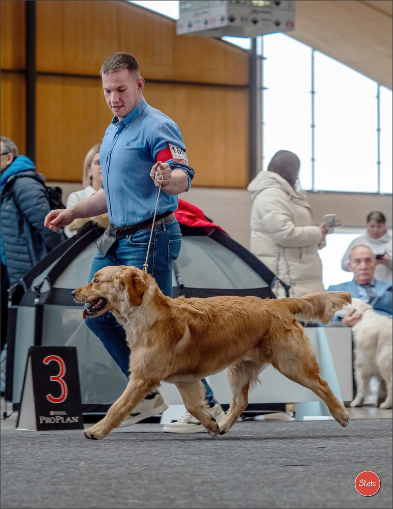 Dog Show Karlsruhe 🇩🇪  29-30/11/2025. Photographe à Strasbourg | Portraits, Studio, Enfants, Événements