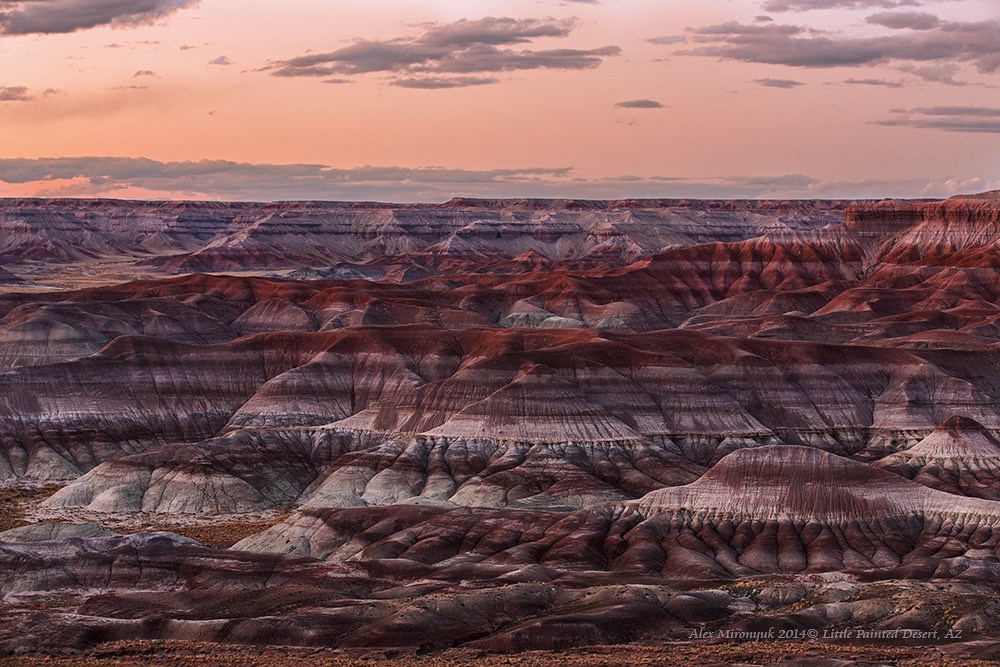 Eagle’s View — Arizona. Pet, Senior, Landscape, portrait studio, photographer in Miami and Sou