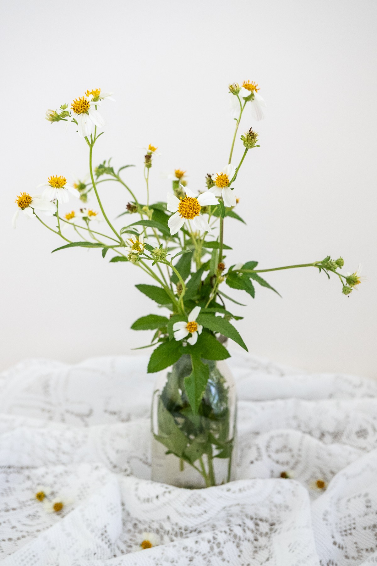 Lifestyle. Central Florida The Villages, Lady Lake Photography