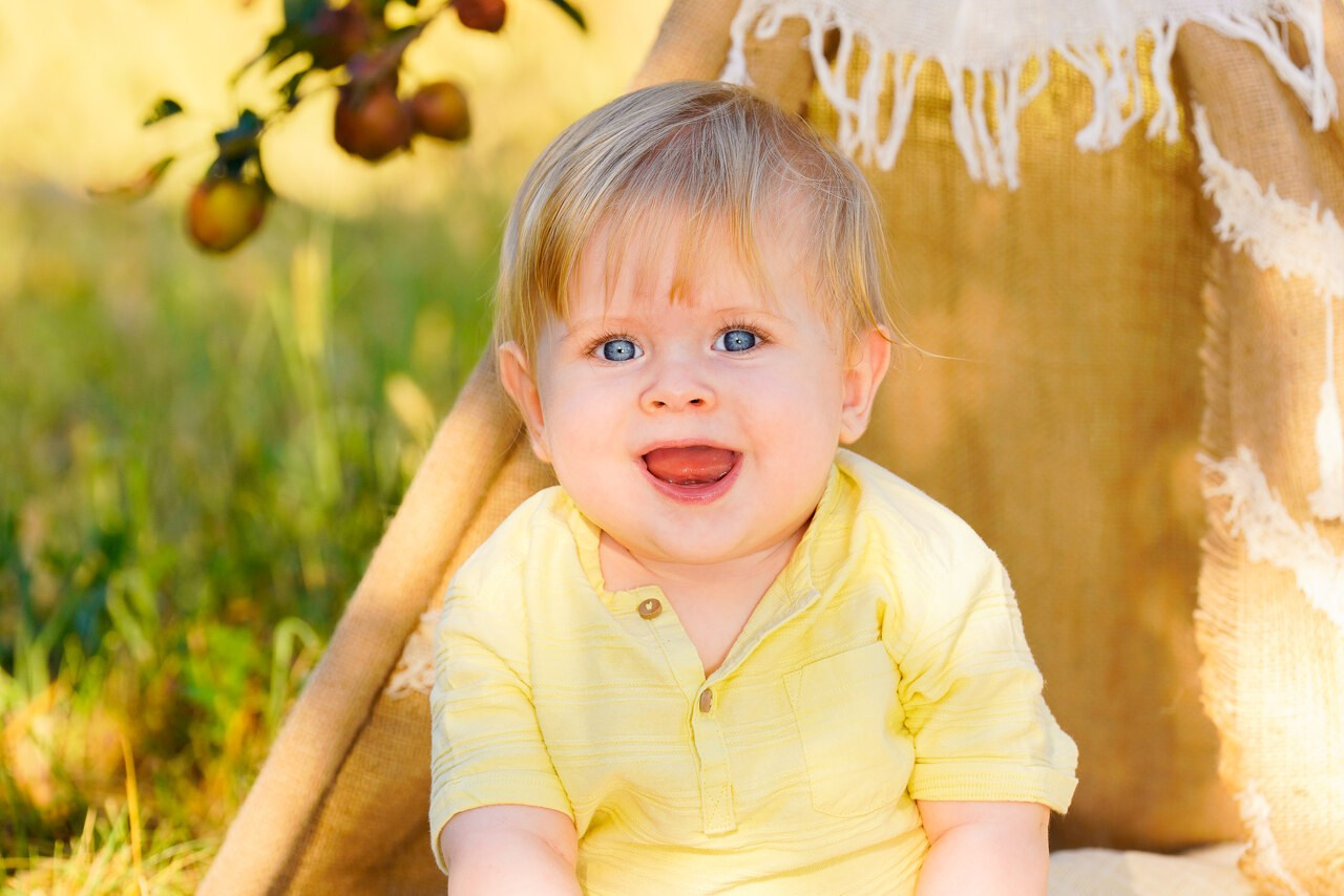 Sedinta foto outdoor. Cuibul foto