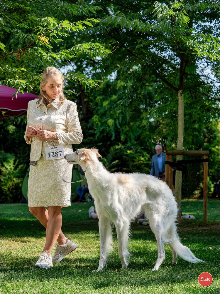 Dog Show Ludwigshafen  🇩🇪  16-17/08/2025. Photographe à Strasbourg | Portraits, Studio, Enfants, Événements