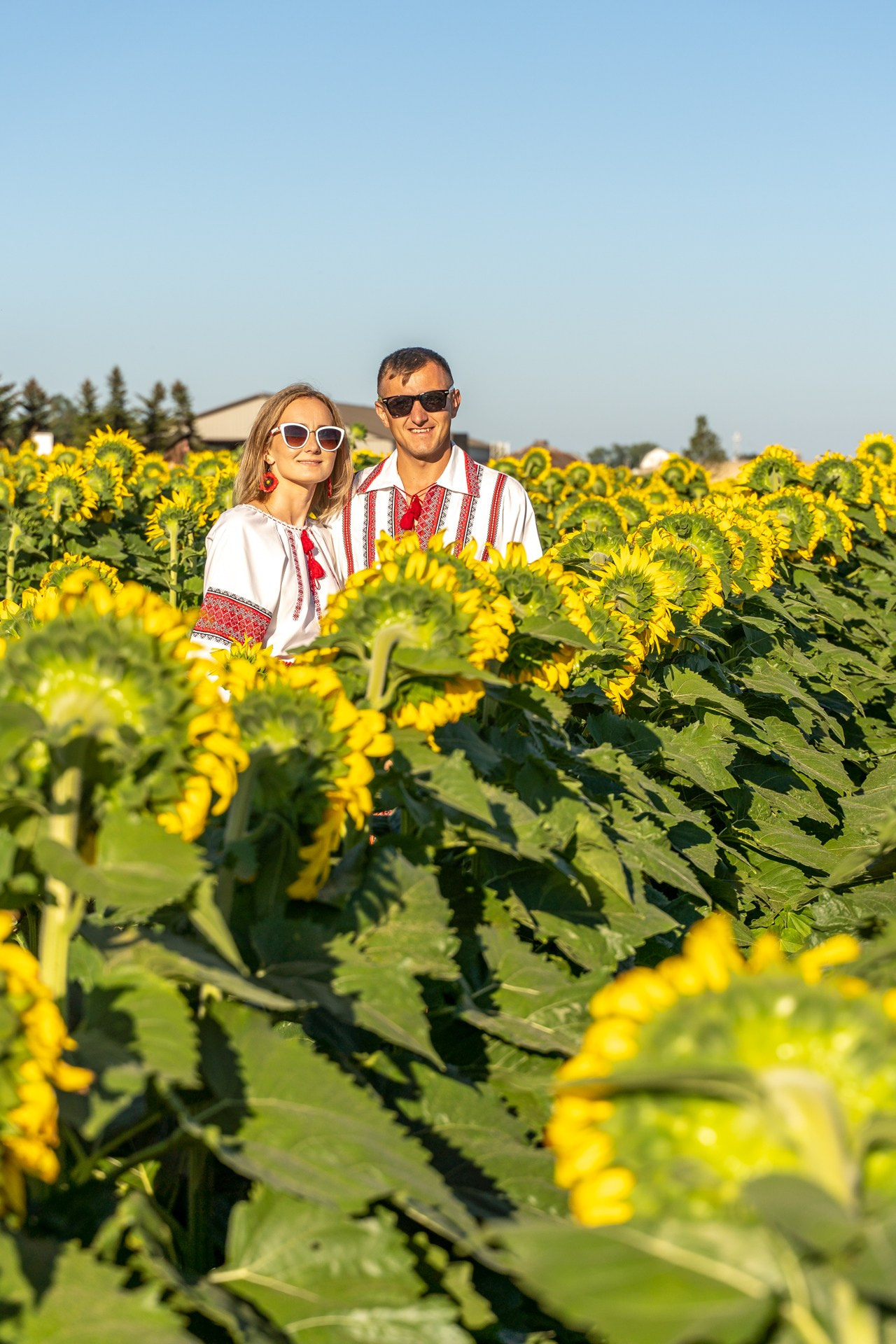 Sunflowers. ARTIGO Igor Rudyi Art Photography