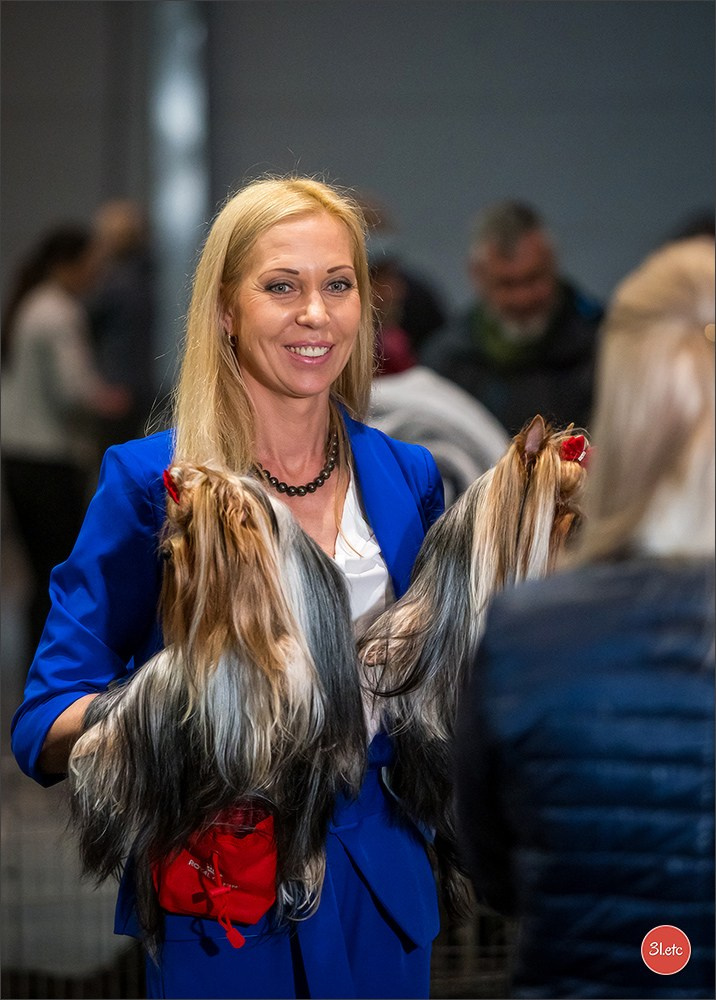 🇩🇪 Offenburg  International Dogshow 09-10.03.24 🇩🇪. Photographe à Strasbourg | Portraits, Studio, Enfants, Événements