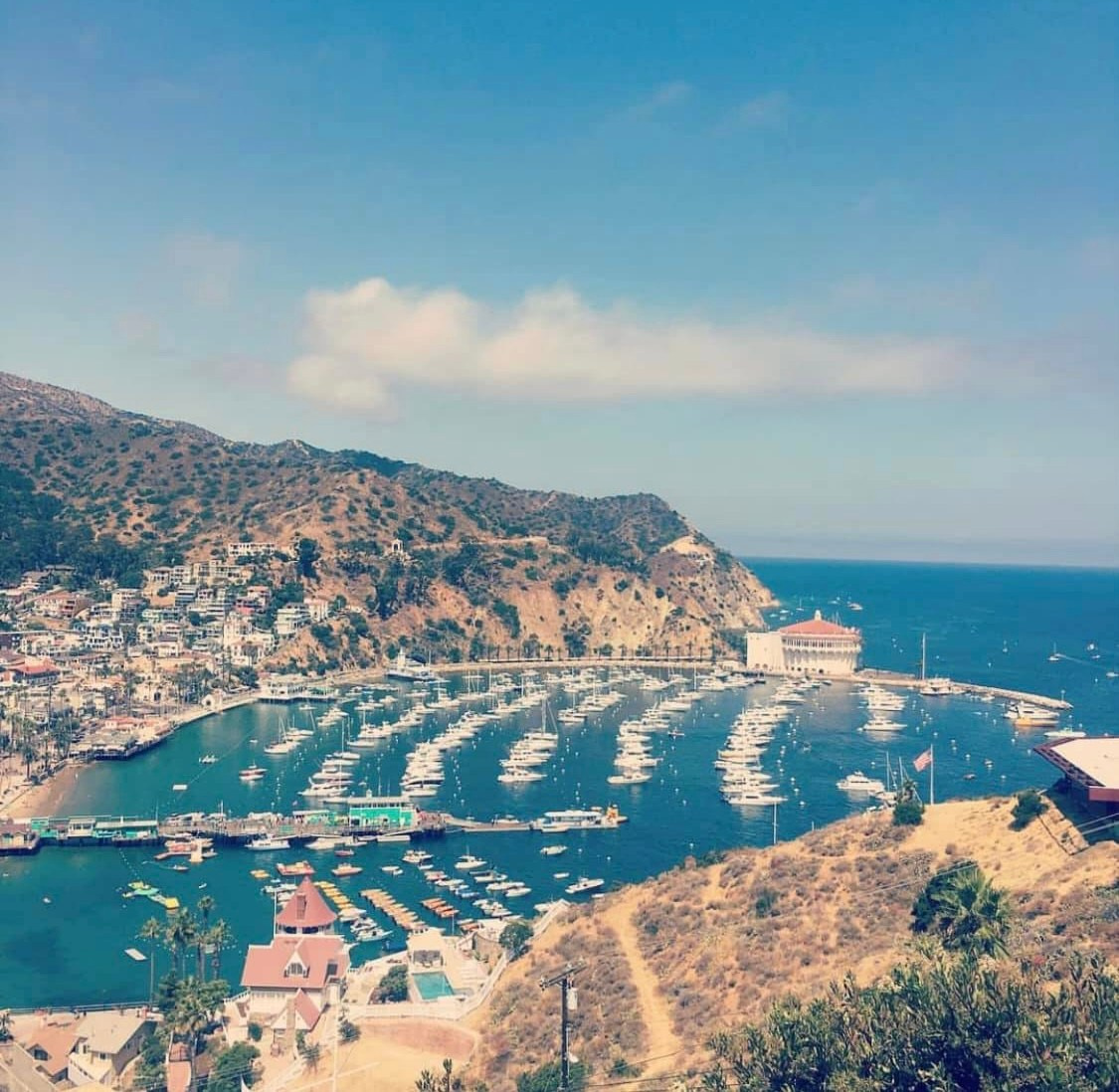 Lens Work From Field  1