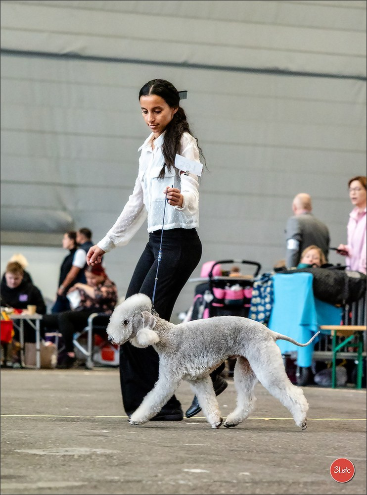 🇨🇭 Geneva Dog Show 15-17/11/2024. Photographe à Strasbourg | Portraits, Studio, Enfants, Événements