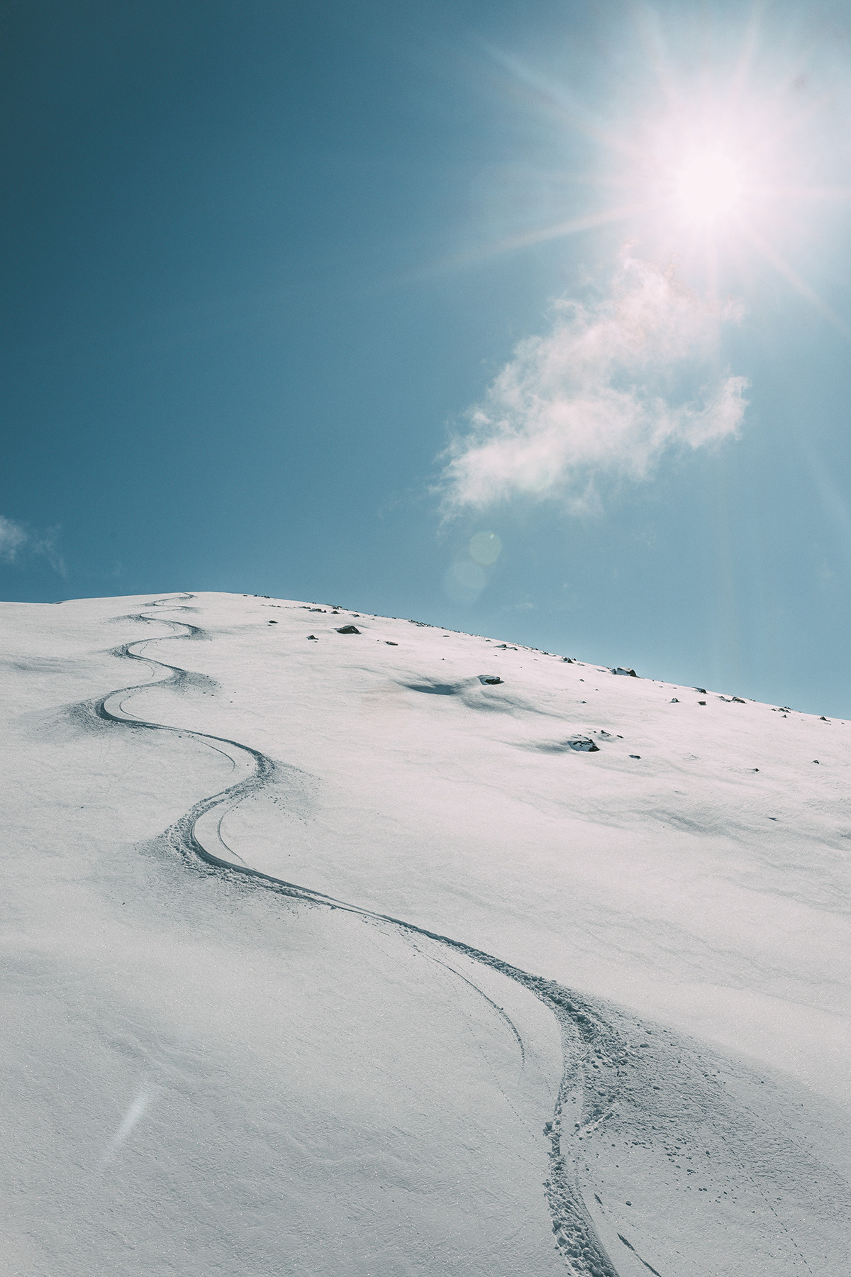 NATURE. Портретный и спортивный фотограф в Алматы Алексей Овечкин
