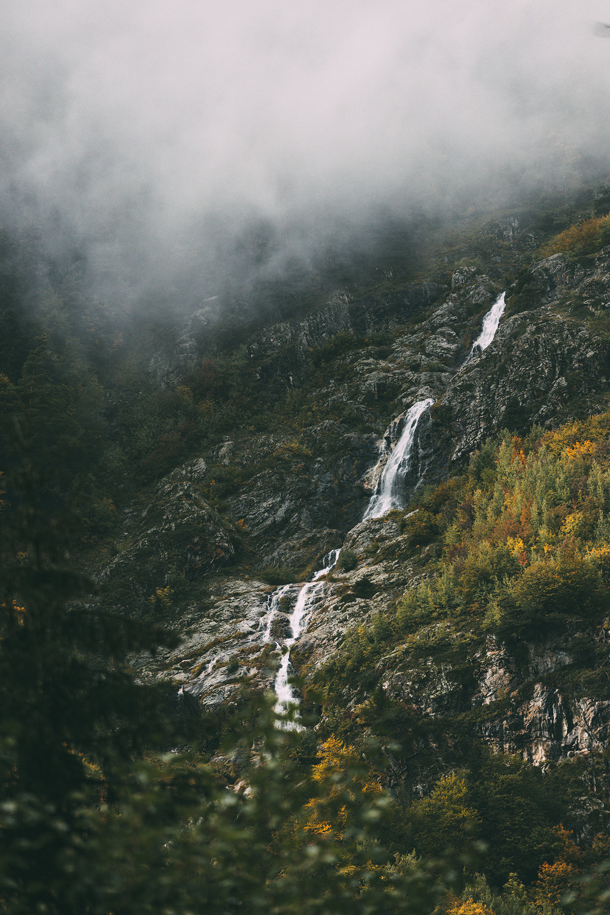 NATURE. Портретный и спортивный фотограф в Алматы Алексей Овечкин