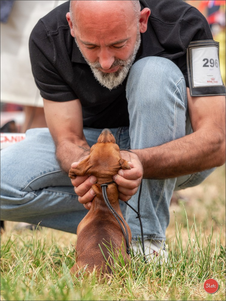 Photographie animalière. Photographe à Strasbourg | Portraits, Studio, Enfants, Événements