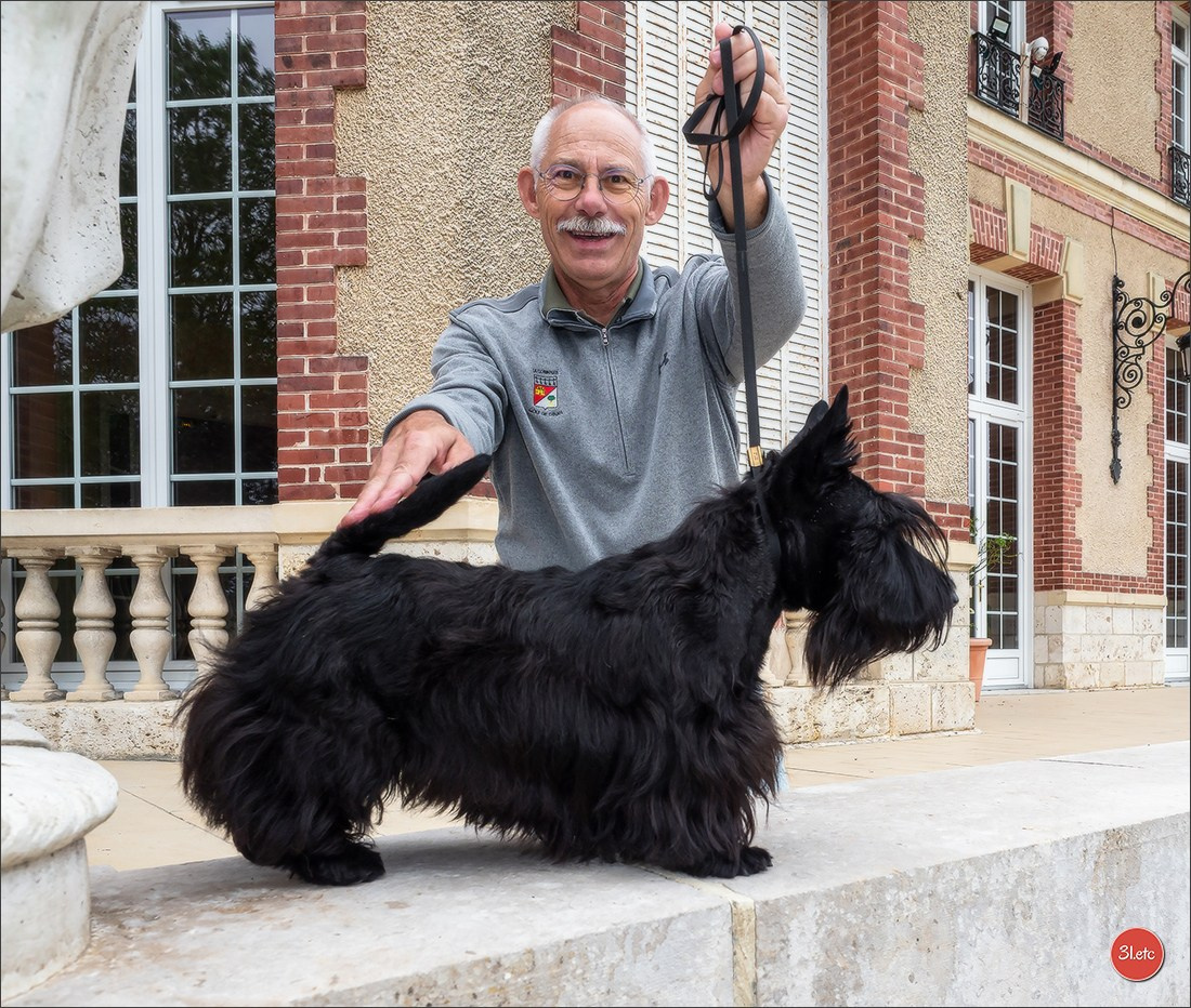 CHARTRES - SPOIR Dimanche 16 juin 2024  Exposition Canine Nationale. Photographe à Strasbourg | Portraits, Studio, Enfants, Événements
